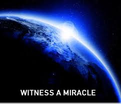 muracle2 simple-muracle